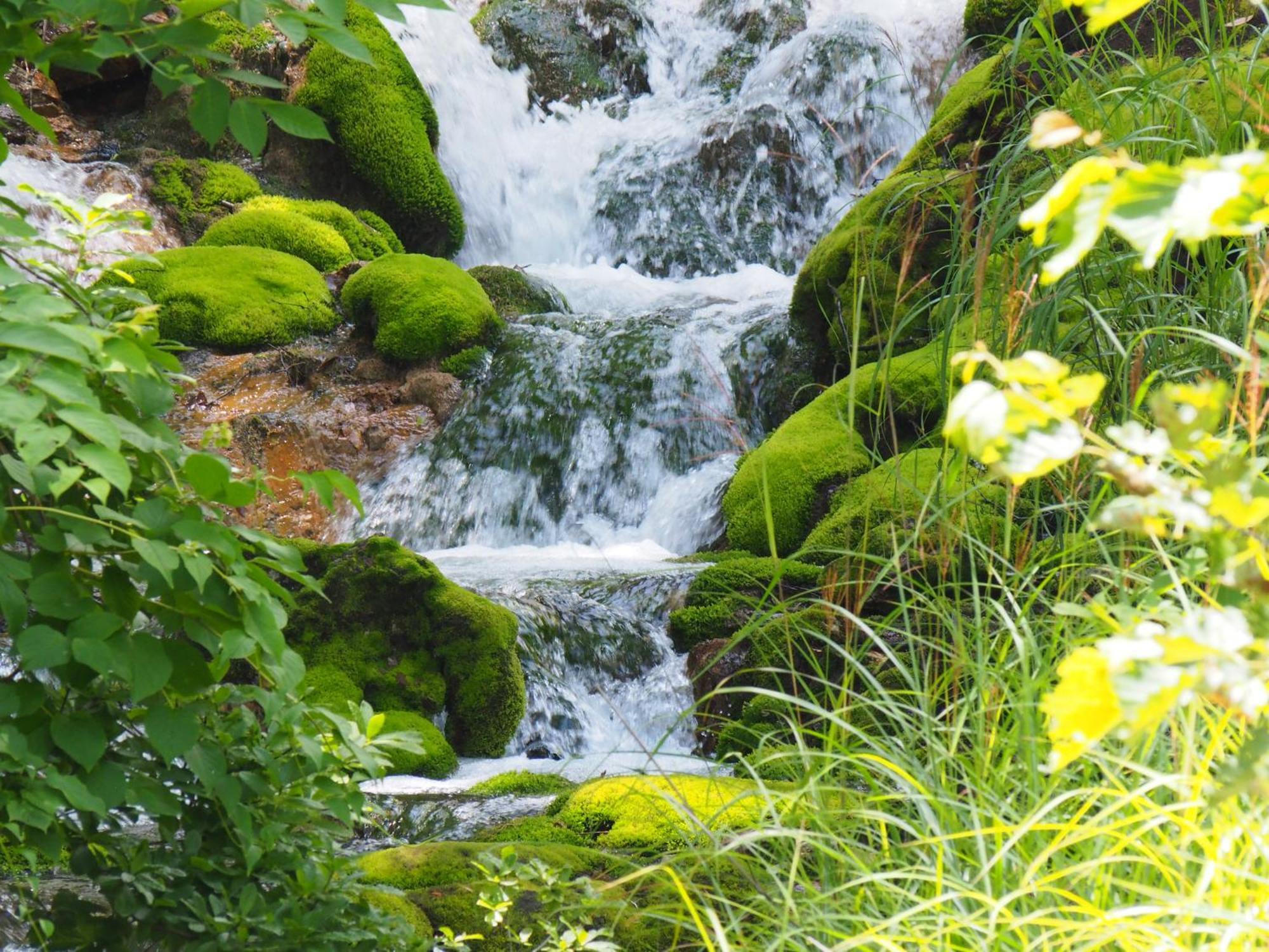 Buna Kusatsu Onsen Inn Dış mekan fotoğraf