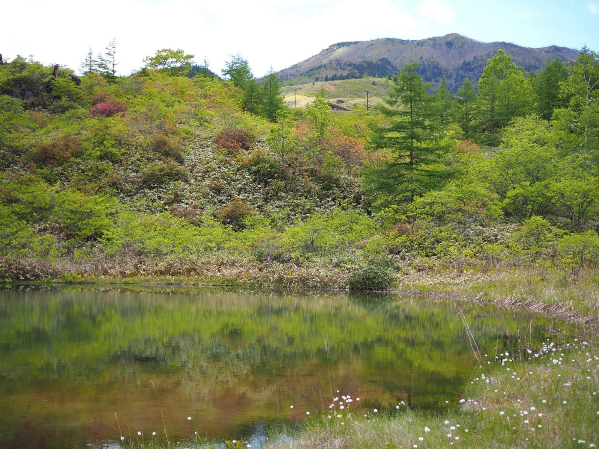 Buna Kusatsu Onsen Inn Dış mekan fotoğraf